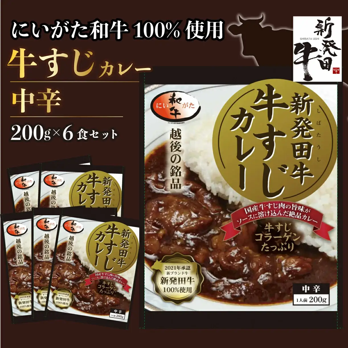 牛すじ 牛すじカレー 6個  牛すじ 牛すじ 牛すじ 牛すじ 牛すじ H23_02