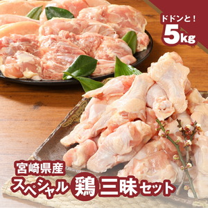 宮崎県産鶏 スペシャル鶏三昧5kgセット K16_0017_4