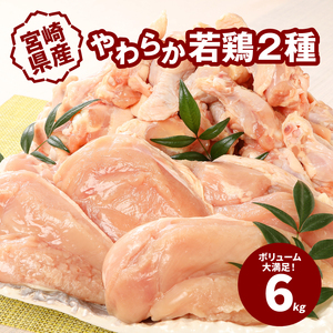 宮崎県産鶏 やわらか若鶏2種6kg  K16_0027_2