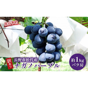 ぶどう  訳あり 長野市松代産 ナガノパープル 約1kg バラ房 果物 ブドウ 葡萄 フルーツ デザート おやつ 種なし TAKANO農園 信州