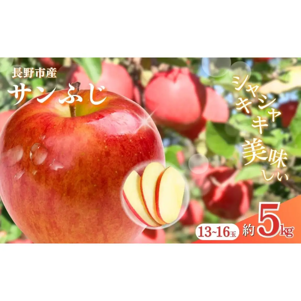 長野市産サンふじ 約5kg(13～16玉)【2026年12月上旬頃発送予定】OKABE fruits