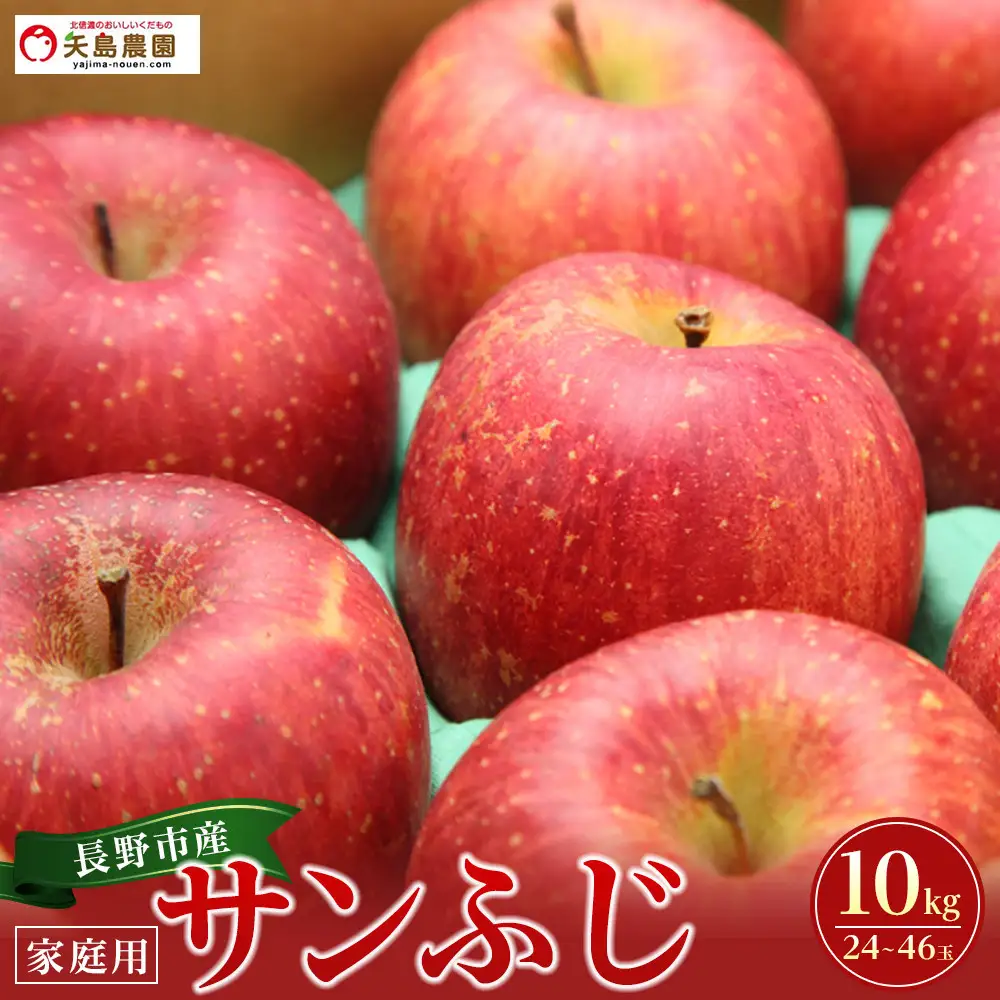 長野県 長野市産 サンふじ 家庭用 10kg(24～46玉)サイズふぞろい【2026年12月中旬頃～発送予定】(矢島農園) | りんご フルーツ 果物 りんご