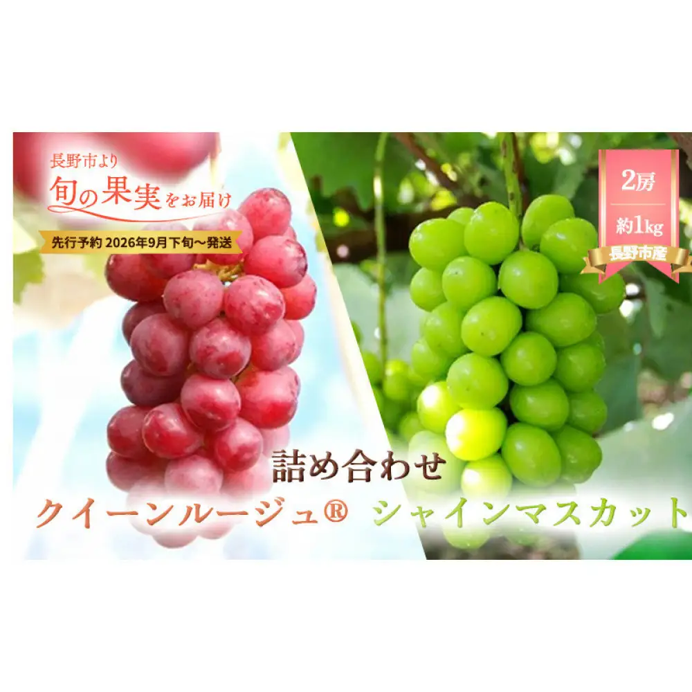 シャインマスカット・クイーンルージュ詰合せ1kg【2026年9月下旬以降の出荷分】（本気農場いけだ） | シャインマスカット ぶどう フルーツ 