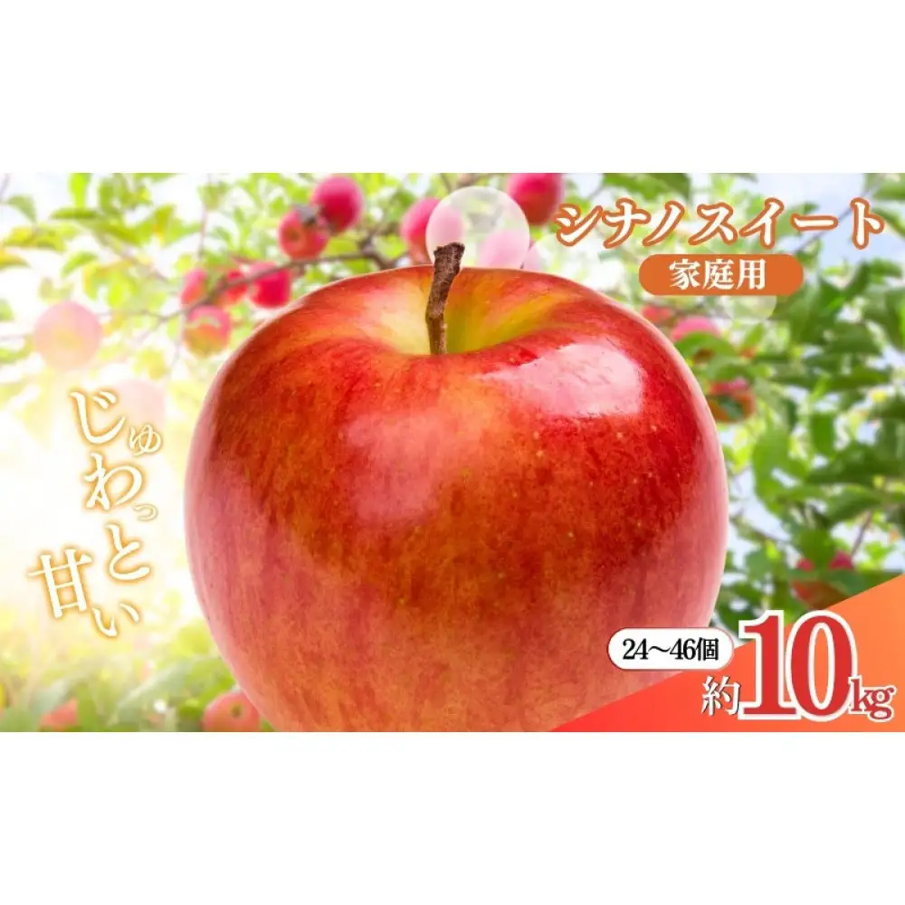 長野県 長野市産 シナノスイート 家庭用 10kg(24～46玉)サイズふぞろい【2026年10月下旬頃発送予定】(矢島農園) | りんご フルーツ 果物 りんご