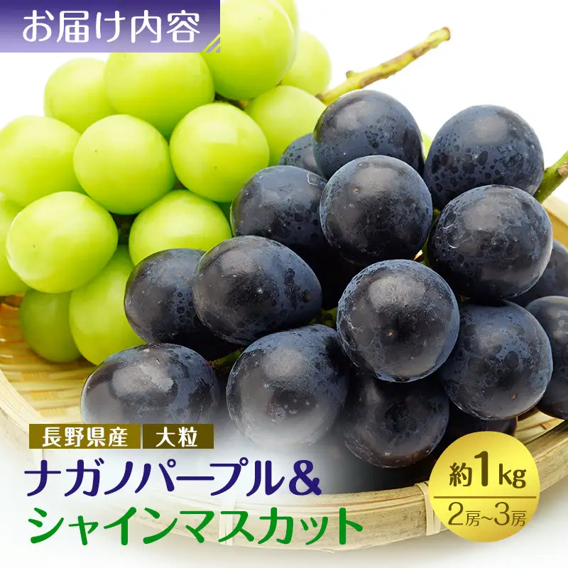 食べ比べ「ナガノパープル&シャインマスカット」約1kg 入【2026年9月以降発送予定】(さらしな青果) | ぶどう  シャインマスカット