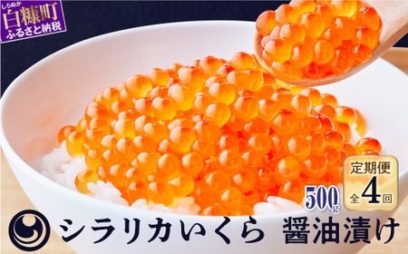 年4回いくら定期便 500g ( 250g × 2 ) × 4回_K116-1041