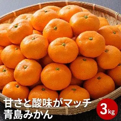 【2027年1月中旬より順次発送】甘さと酸味がマッチ　青島みかん3kg
