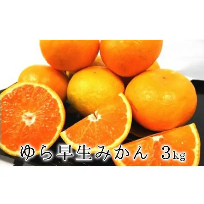 【2026年10月上旬より順次発送】甘みと酸味がギュッ　ゆら早生みかん3kg★★◆
