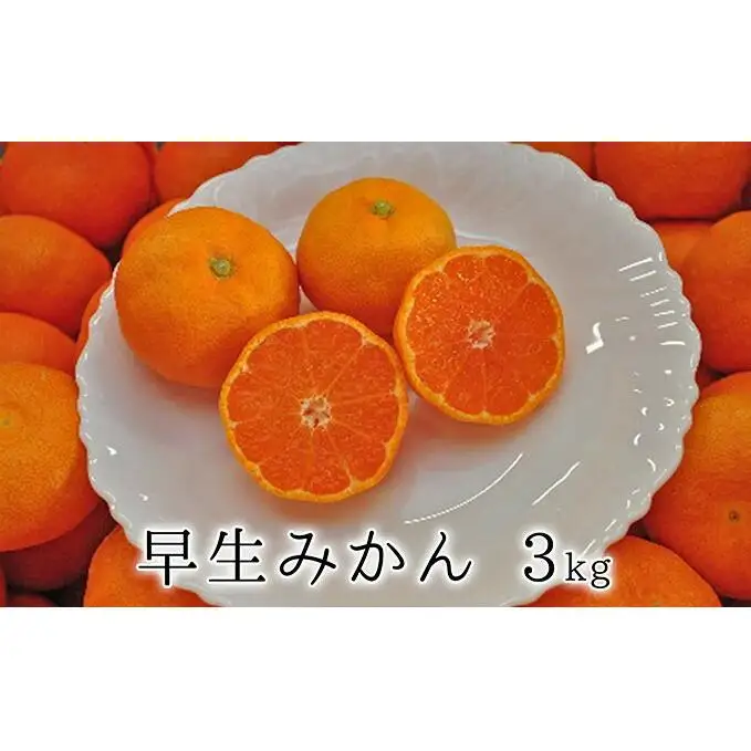 【2026年11月中旬より順次発送】秋の味覚　果汁たっぷり　早生みかん3kg★★◆