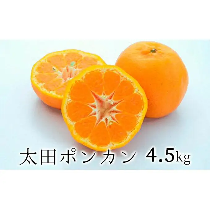 【2027年1月より順次発送】静岡県清水生まれの美味しい柑橘・太田ポンカン 4.5kg◆