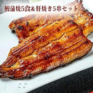 〈うなぎの篝火〉国産うなぎ真空パック蒲焼5食・鰻肝焼き5串セット  【配送不可：離島】