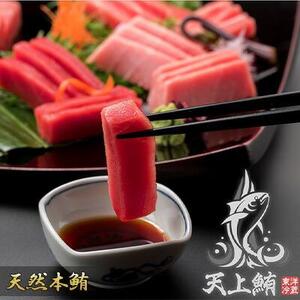 天上鮪ブランド！天然本鮪 赤身2サク・中トロ2サク・たたき1パックセット 【配送不可：離島】