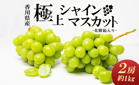 綾川町産　極上シャインマスカット　2房（化粧箱入り）