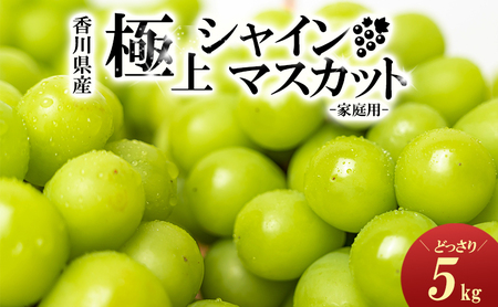 極上シャインマスカット　どっさり約5kg