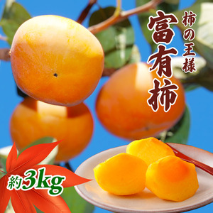 柿の王様 富有柿 3kg 果物類 