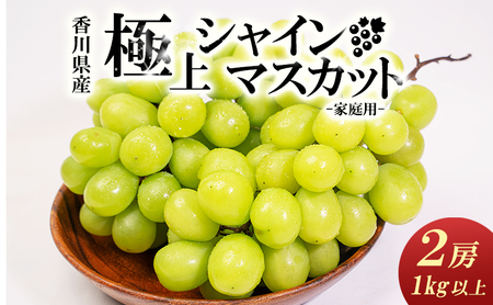 【お得用】家庭用シャインマスカット　2房入り 1kg以上