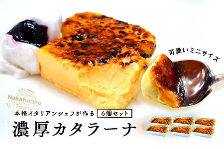 カタラーナ　ミニセット　プレーン6個【AM-041】
