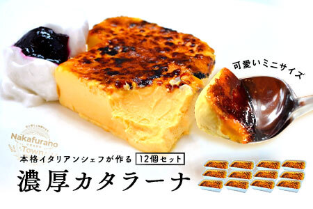 カタラーナ　ミニセット　プレーン12個【AM-042】