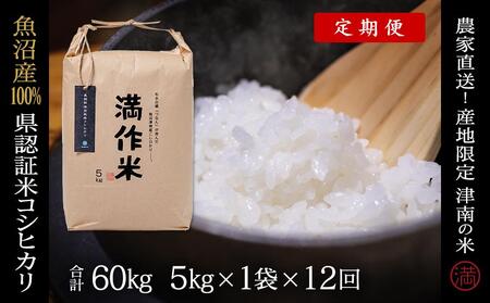 定期便【合計60kg】5kg×12回 県認証魚沼産コシヒカリ |津南町 コシヒカリ 定期便