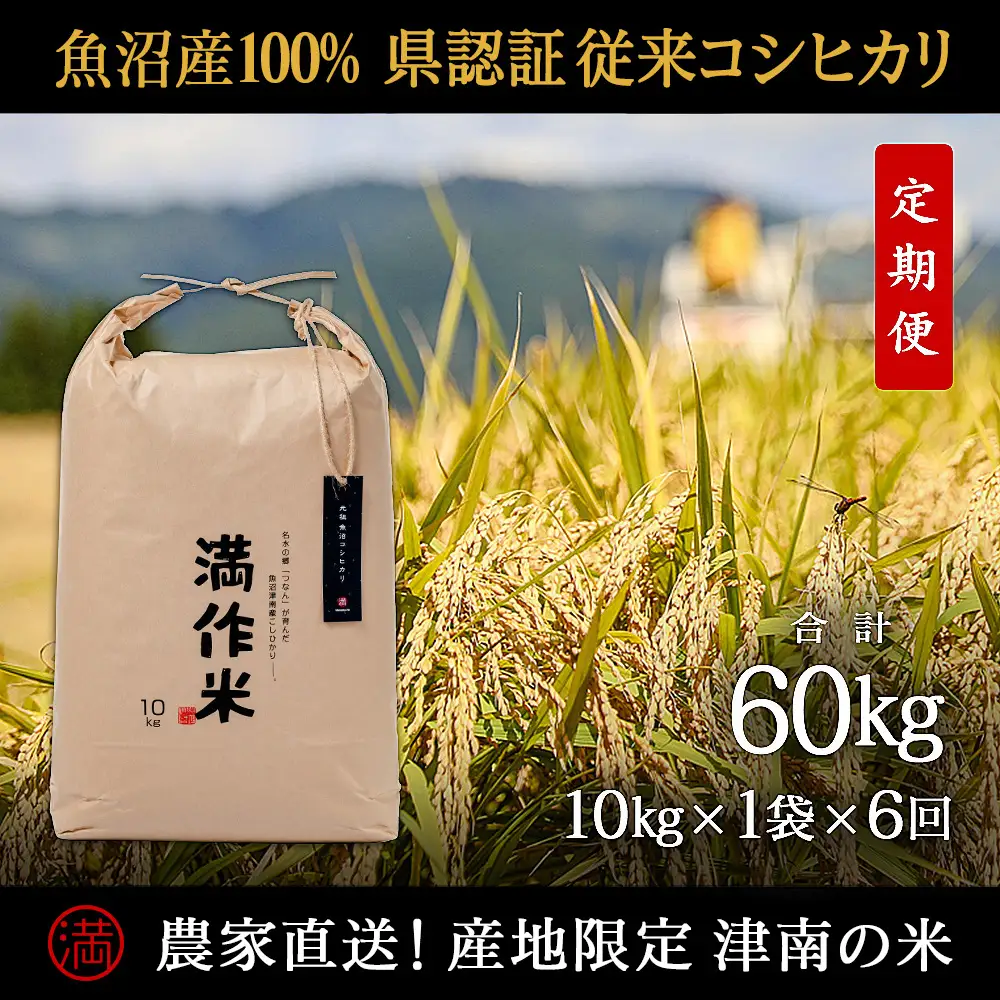 【2025年産 】【6ヶ月定期便】合計60kg(10kg×6回)【県認証】元祖魚沼産コシヒカリ |津南町 コシヒカリ 定期便