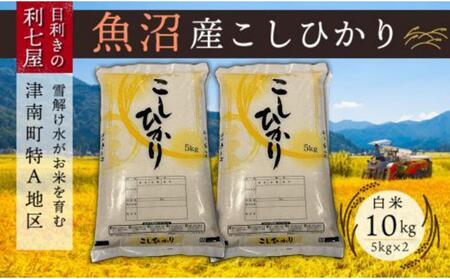 【令和8年産先行予約】魚沼産コシヒカリ 白米 10kg (5kg×2袋)  |津南町 魚沼