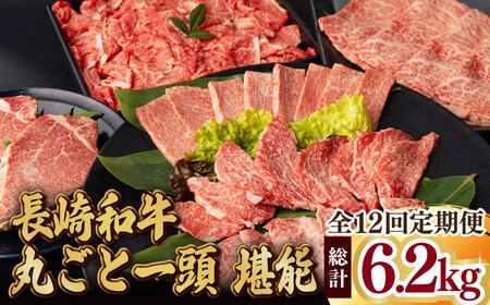 【全12回定期便】長崎和牛丸ごと一頭 堪能！ 総計6.2kg以上 サーロイン モモ イチボ シャトーブリアン 焼肉 ステーキ 長崎和牛 希少部位 【夢ファームシュシュ】 [WF15]