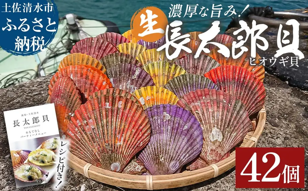 【9月発送】 ヒオウギ貝42個セット（ホタテの仲間）アウトドア キャンプ 海鮮BBQ 魚貝  生 貝殻付 活 貝柱 酒蒸し バーベキュー【R00570】