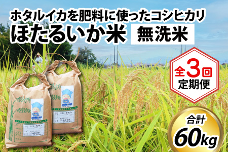 ほたるいか米（無洗米20kg）×3回 計60kg【3ヶ月定期便】