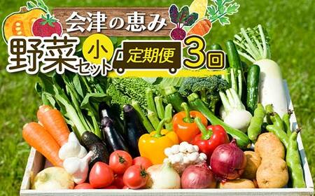 《定期便》＜3市町村共通返礼品＞会津の恵み野菜セット(大)《全3回》 朝採れ 野菜 お米 精米 米 セット 詰合せ 契約農家 朝採り 採れたて 新鮮 会津野菜 定期便 3回 3ヶ月 連続 F4D-1414