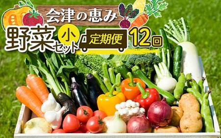 《定期便》＜3市町村共通返礼品＞会津の恵み野菜セット(大)《全12回》 朝採れ 野菜 お米 精米 米 セット 詰合せ 契約農家 朝採り 採れたて 新鮮 会津野菜 定期便 12回 12ヶ月 連続 F4D-1416