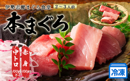 【 冷凍 】本マグロ 赤身 中トロ 計300g 伊勢志摩まぐろ食堂 【 本鮪 】