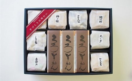 菓子道楽新野屋 くろ羊かん（3本）・米菓（8種）セット[ZF312]