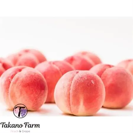 【2026年発送】完熟収穫桃 約3kg 山梨県産 自社農園産直 Takano Farm【配送不可地域：離島】【1115746】