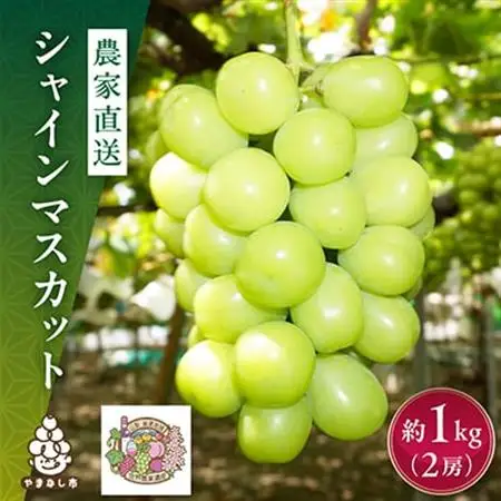 【2026年発送】シャインマスカット 1kg (2房) 農家直送 世界農業遺産認定地特産【配送不可地域：離島】【1117446】