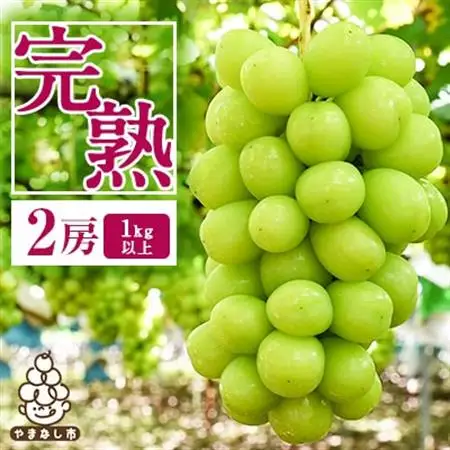 【2026年発送】完熟 シャインマスカット 2房 (1kg以上) 世界農業遺産認定地特産【配送不可地域：離島】【1117448】