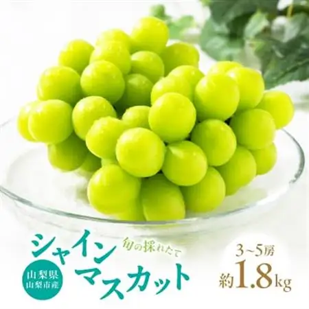 2026年発送　山梨市産 旬の採れたてフルーツ シャインマスカット秀等品 約1.8kg 3～5房【配送不可地域：離島・沖縄県】【1134846】