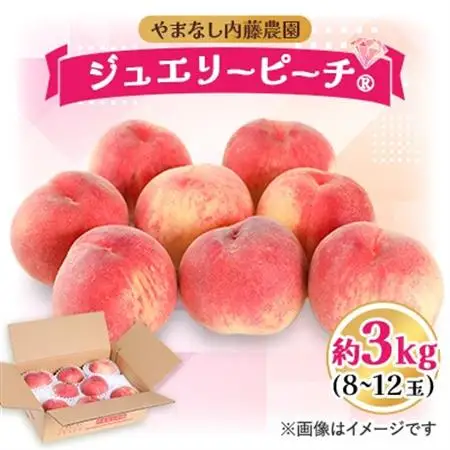 桃 約3.0kg 8～12玉 やまなし内藤農園 ジュエリーピーチ (R) 白桃【配送不可地域：離島】【1225654】