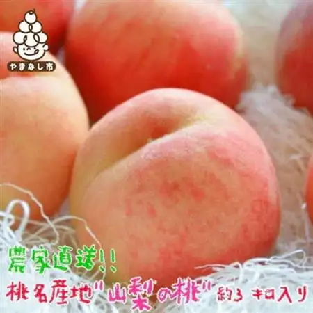 《2026年発送》農家直送 桃名産地 山梨の桃 秀品 約3kg【配送不可地域：離島・沖縄県】【1292062】