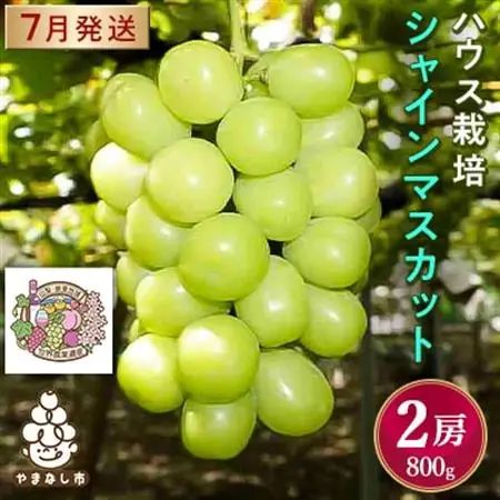 【2026年発送】ハウス栽培7月出荷シャインマスカット(2房約800g)世界農業遺産認定地特産【配送不可地域：離島】【1296283】