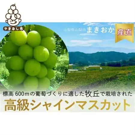 【2026年発送】巨峰の丘　ぶどうの専門家がお届けするシャインマスカット1房(700～800g)【配送不可地域：離島】【1324203】