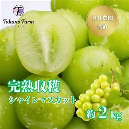 【2026年発送】シャインマスカット約2kg 山梨県産 自社農園直送!完熟収穫! 【数量限定】【配送不可地域：離島】【1327875】
