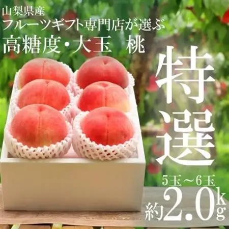 【2026年発送】山梨県山梨市産　高糖度　旬の採れたて桃【特選大玉5～6玉】約2kg【配送不可地域：離島】【1363435】