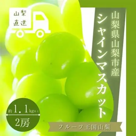 【2026年発送】冬に食べる貴重なシャインマスカット2房約1.1kg以上【配送不可地域：離島】【1374931】