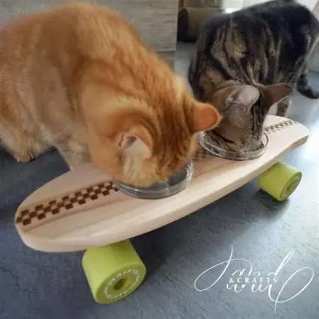 【＆CRAFTS】Pet bowls stand-2BOWLS-(Green)※名入れプレート付き【1378241】