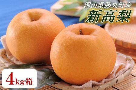 岡山県 勝央町産 新高梨 4kg箱(4～5玉) ＜10月中旬から11月上旬発送＞ _A20
