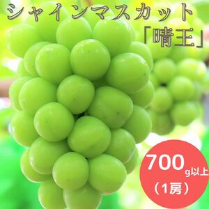 岡山県産 シャインマスカット 700g以上(1房) ＜9月中旬から10月中旬発送＞ _A5