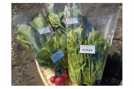 農園・空のこだわり 野菜 8～10品目 _S24