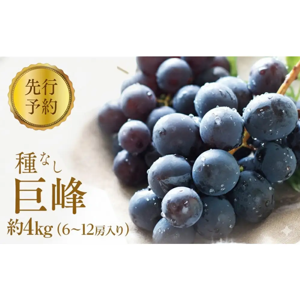 2026年産ぶどう  種なし 巨峰 約4kg 6～12房入り 果物 ブドウ 葡萄 フルーツ デザート おやつ 信州 2026年秋発送 |  果物 ブドウ 葡萄 フルーツ デザート ぶどう 種なし フルーツ 人気 おすすめ  送料無料  長野県 長野市 信州 信濃 ふるさと納税