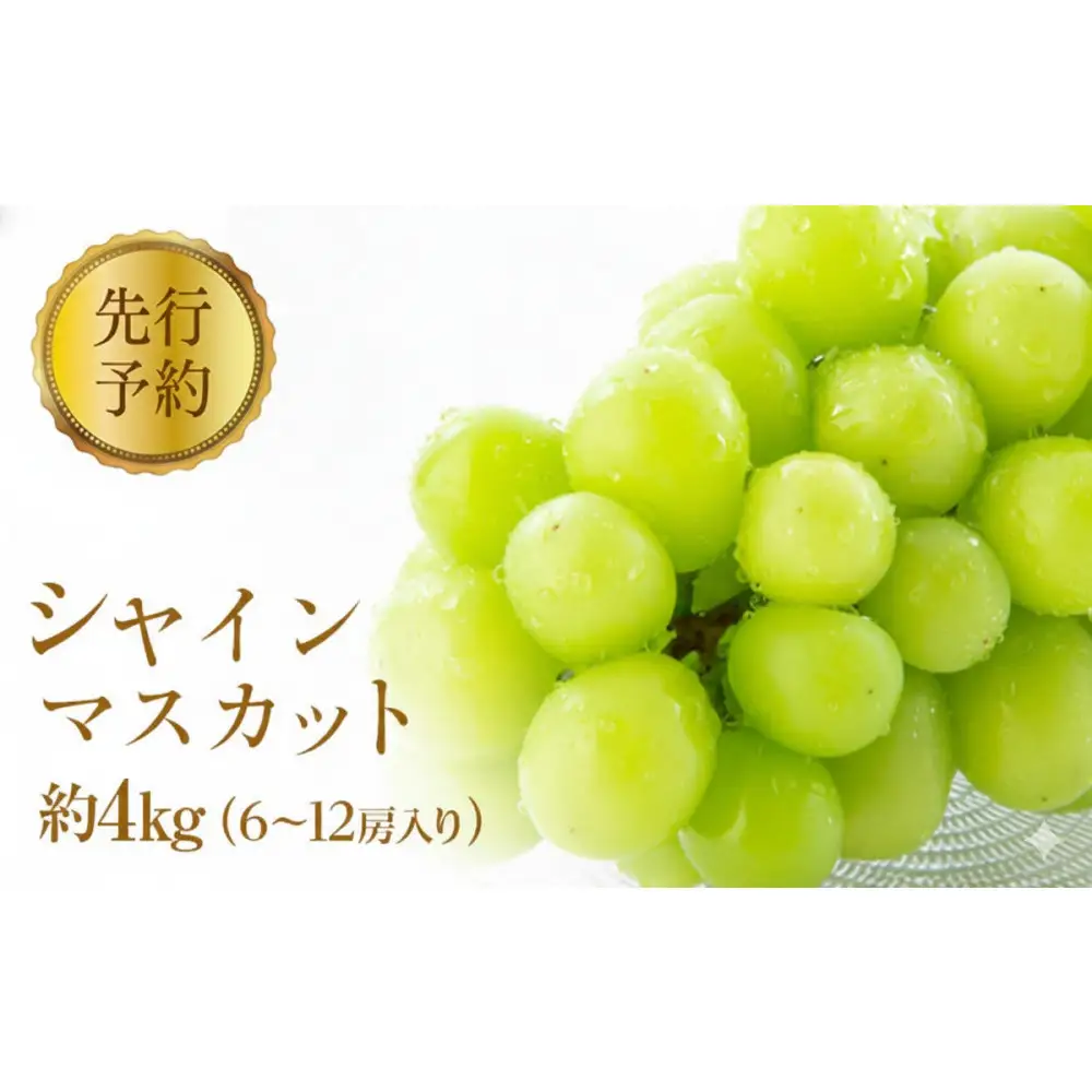 2026年産ぶどう  シャインマスカット 約4kg 6～12房入り 葡萄 ブドウ シャイン マスカット 果物 フルーツ デザート おやつ 種なし 信州 2026年秋発送 |   葡萄 ブドウ シャイン マスカット 果物 フルーツ デザート 種なし 信州 2026年秋発送 ぶどう 人気 おすすめ  送料無料  長野県 長野市 信州 信濃 ふるさと納税