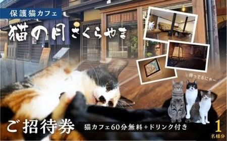 猫の月さくらやまご招待券2名様分（猫カフェ60分無料＋ワンドリンク付き）　ネコカフェ チケット 猫 ねこ ドリンク付き 古民家カフェ 保護猫 猫の月 さくらやま LM006